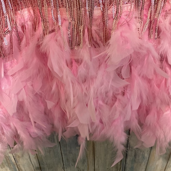 NWT Women’s Flapper Dresses All-Over Fringe | Pink | Size Small - Picture 8 of 10